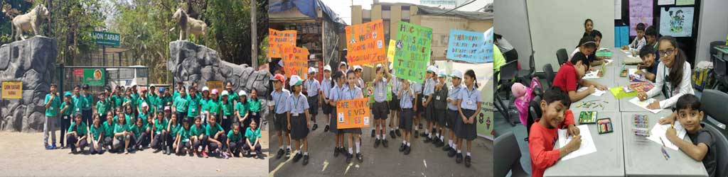 PRIMARY PROGRAMME