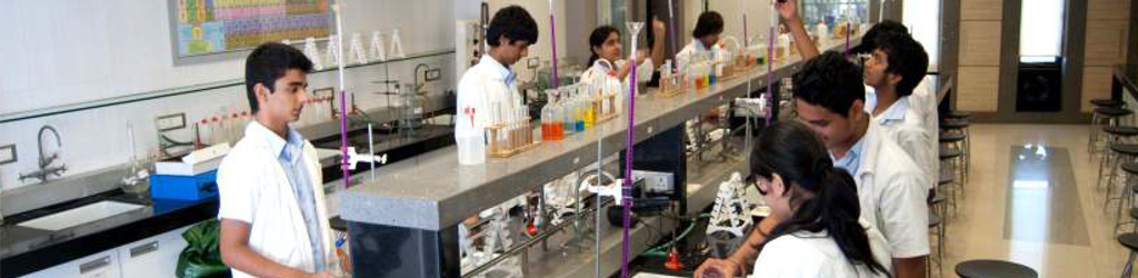 CAMBRIDGE "A LEVEL" PROGRAMME