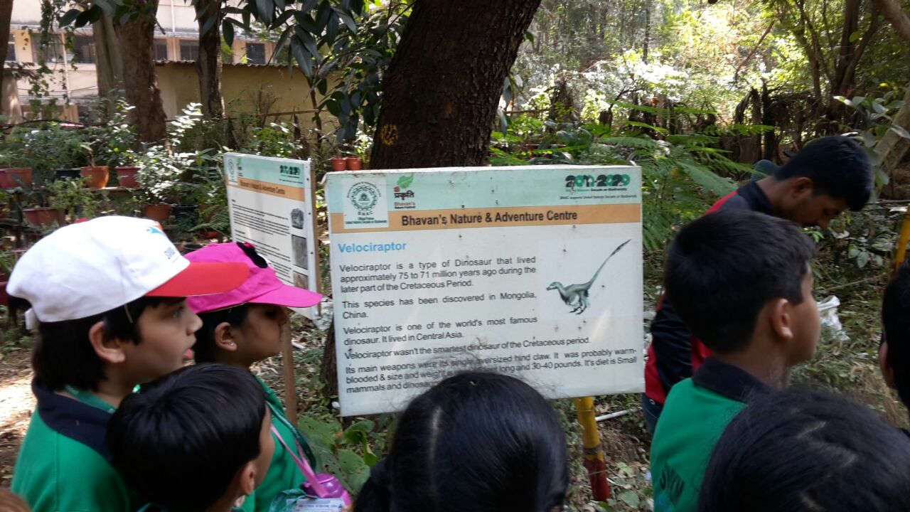 Fieldtrip